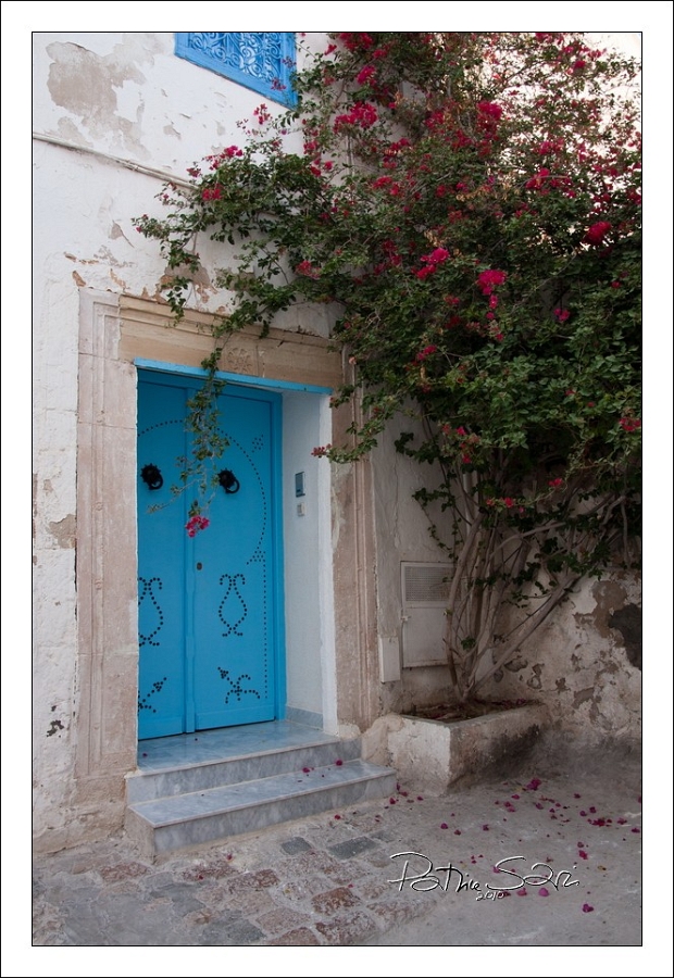 201008Tunisie-2054-p4 br lc