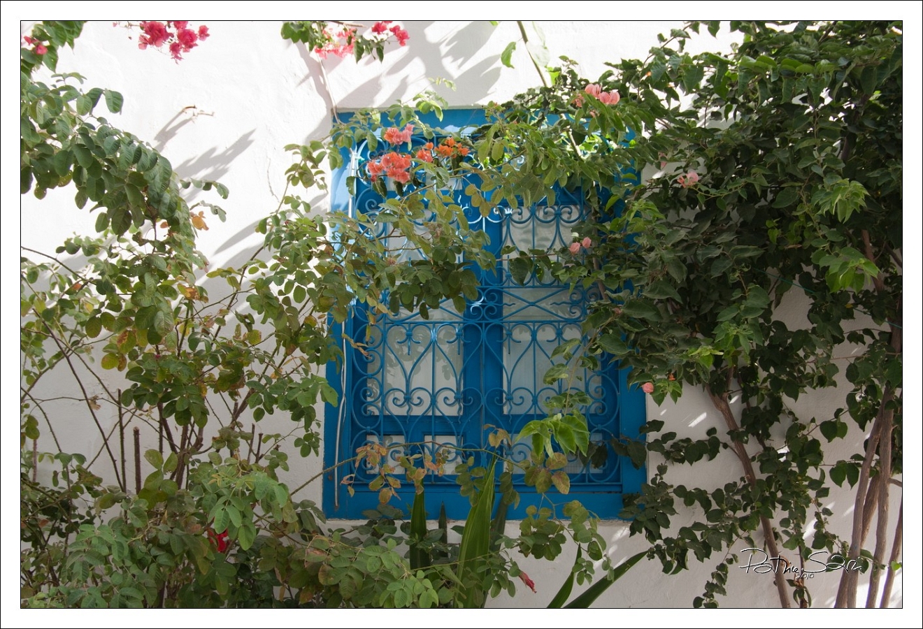 201008Tunisie-2057-p4 br lc