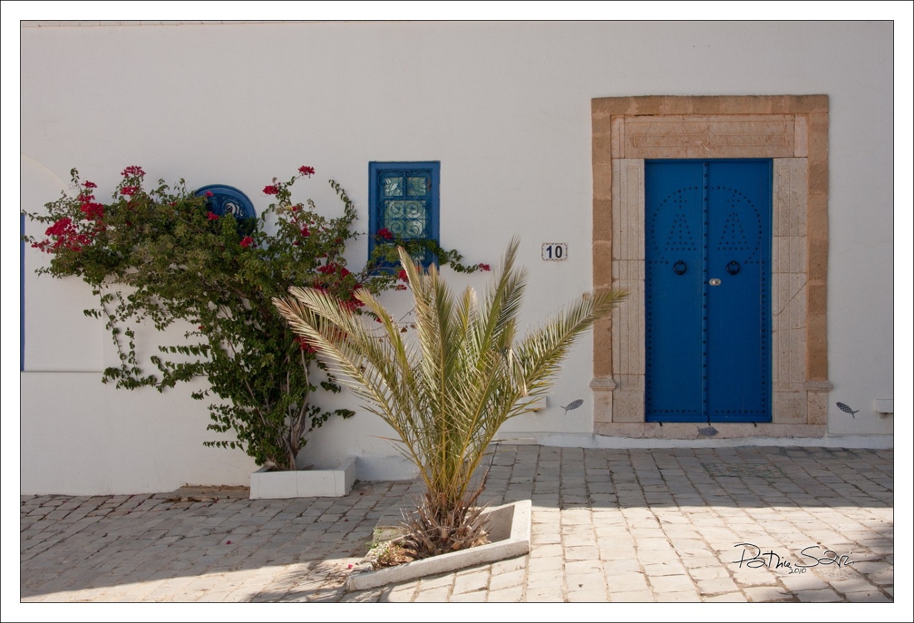 201008Tunisie-2069-p4 br lc