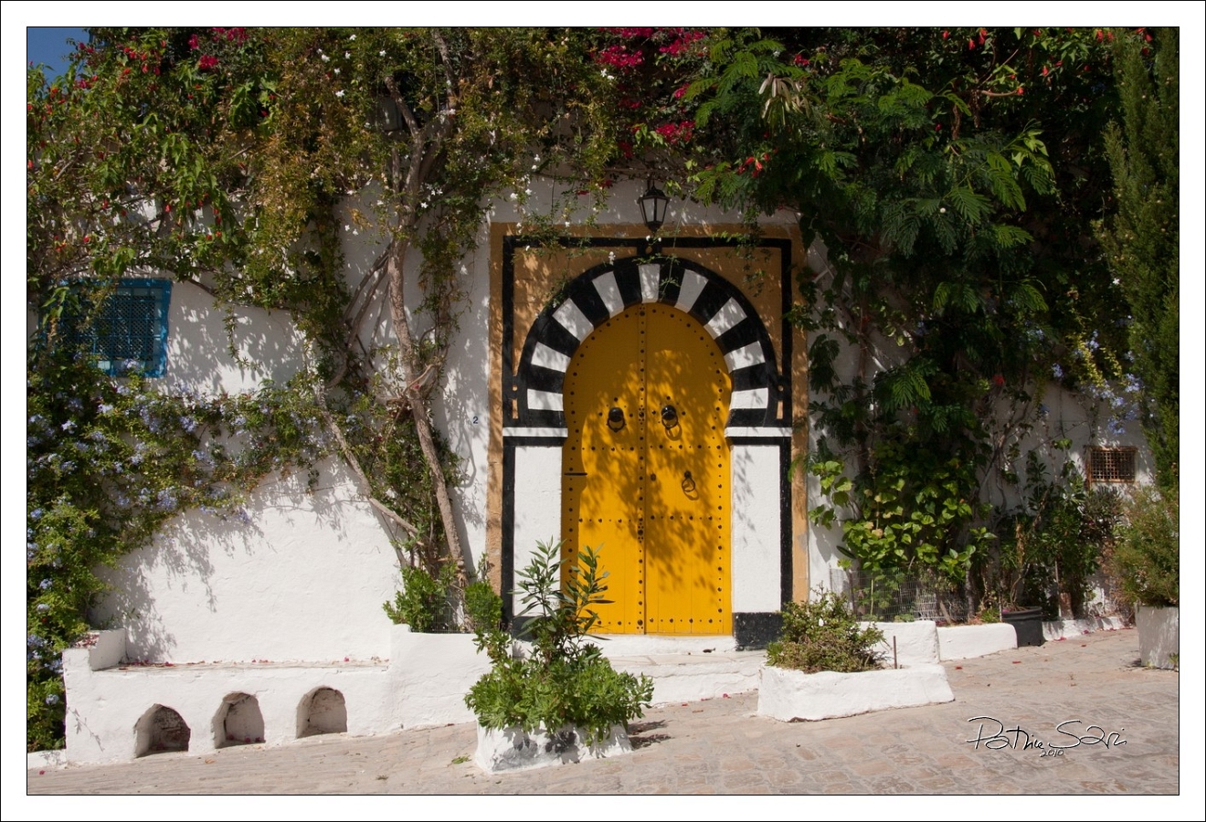 201008Tunisie-2087-p4 br lc