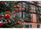 20241210-1020-P11-s-br-bs - 10/12/2024-Colmar-MarchÃ© de NoÃ«l