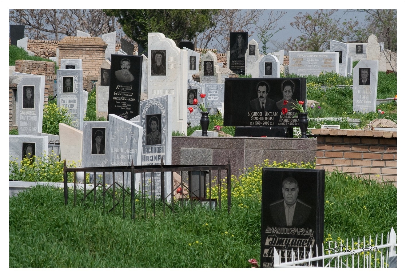 201003ouz-7181-p3 br lc