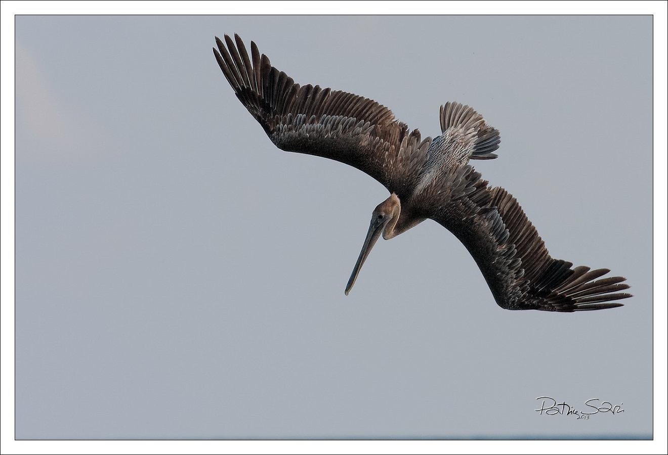 20130514-8084-p4 br lc