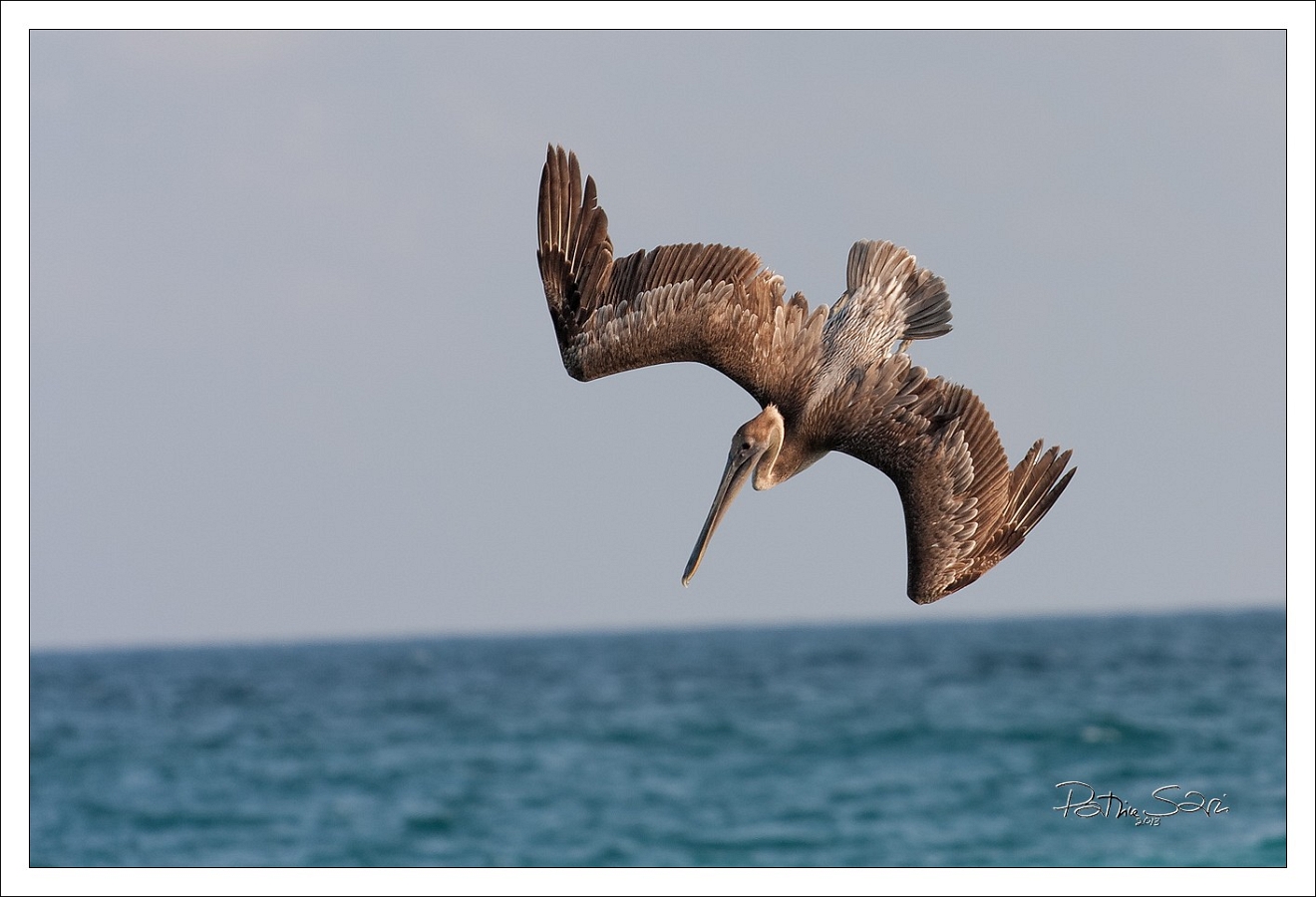 20130514-8091-p4 br lc