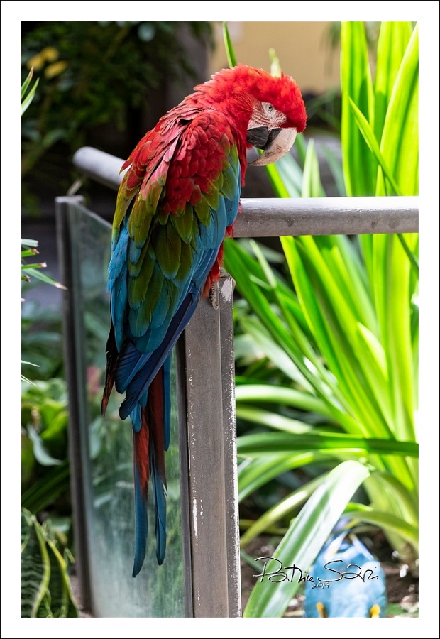 20190817-3063-p5 br lc