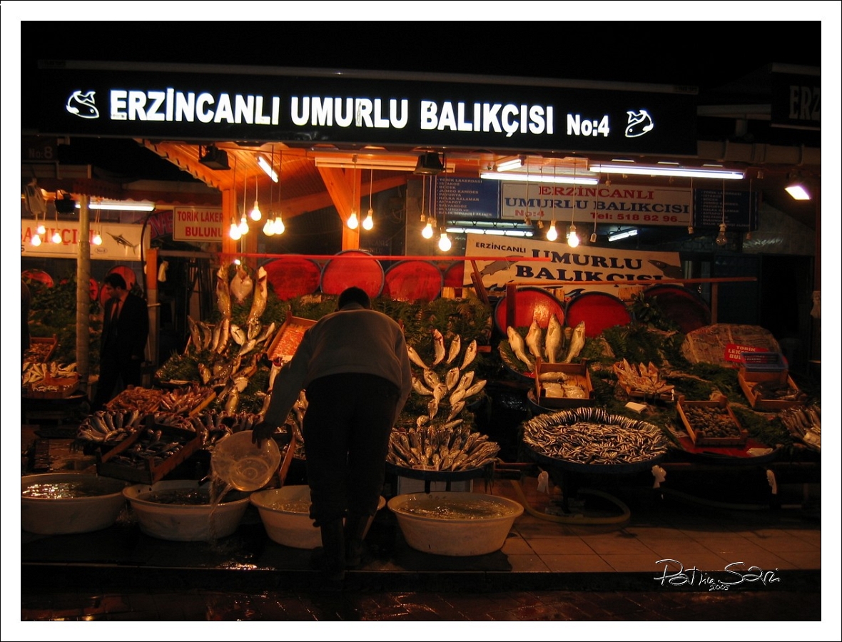 20050222-4020 br lc