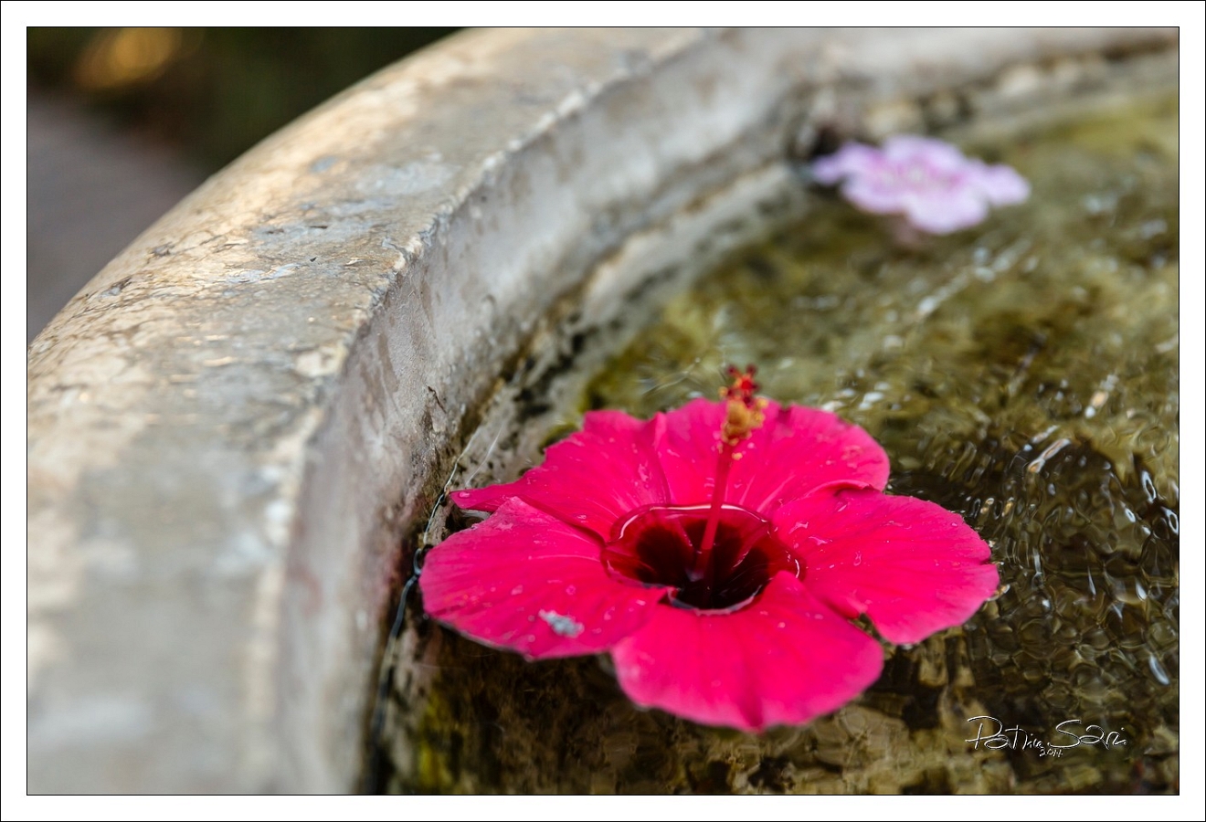 20140822-1094-p5 br lc